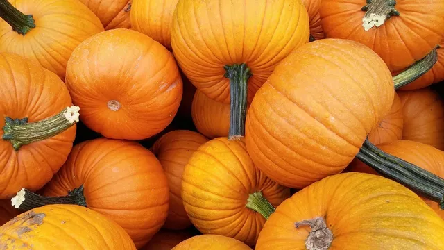 Fall | Floral mini pumpkin
