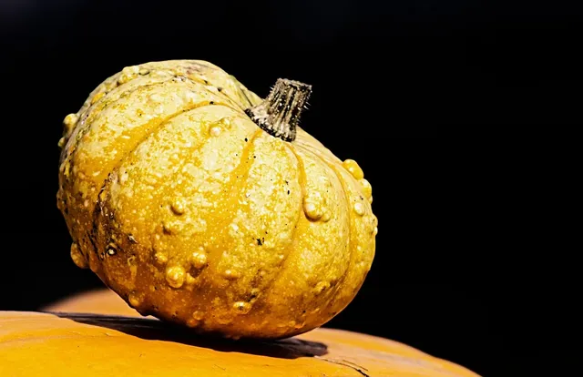 Fall | Floral mini pumpkin