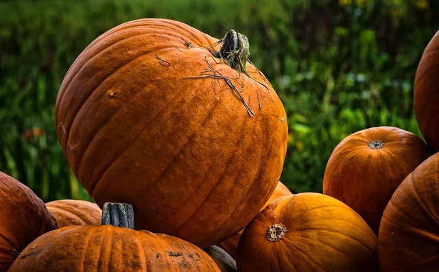 Fall | Floral mini pumpkin