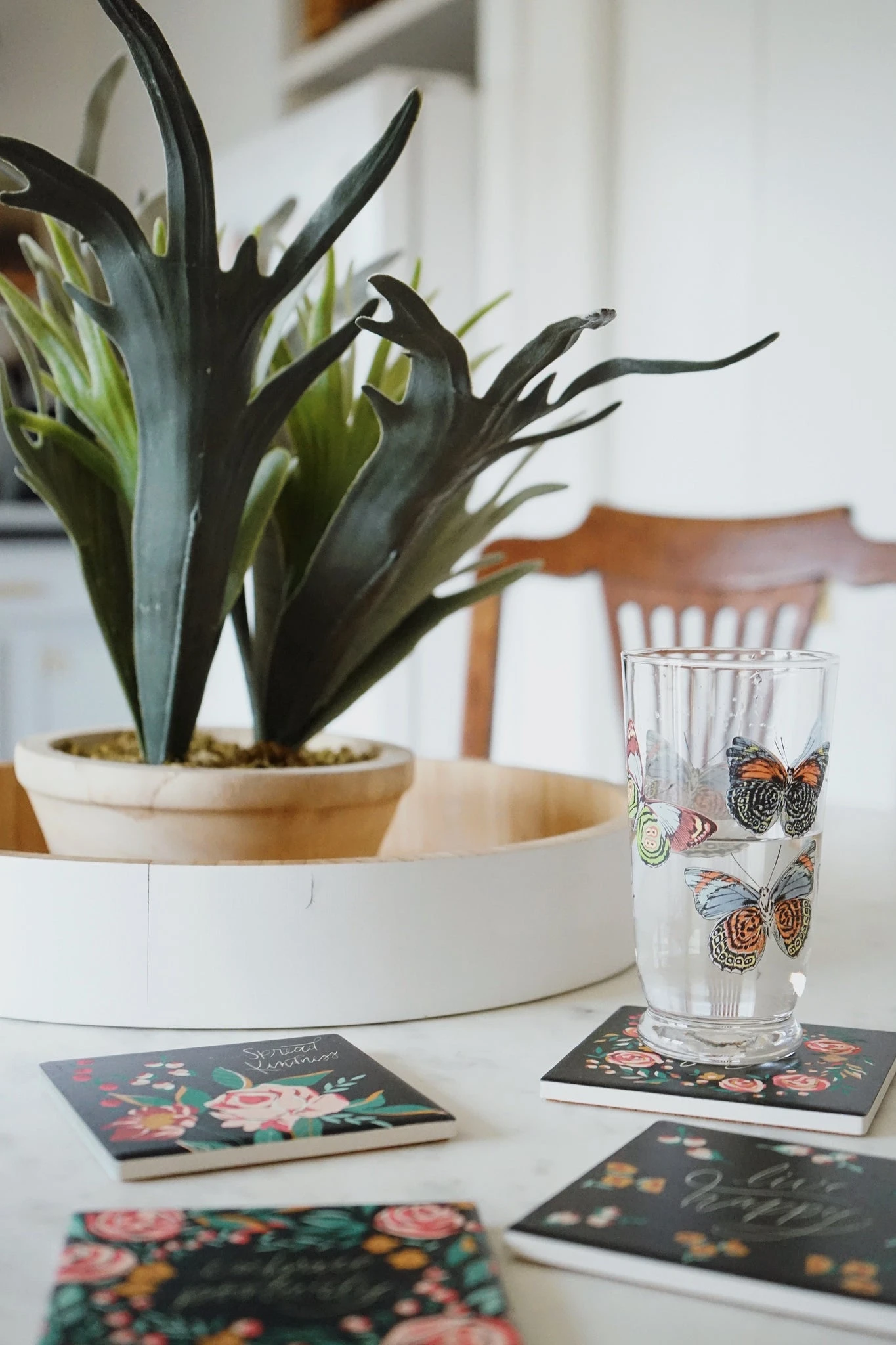 Botanical | Set of 4 Coasters